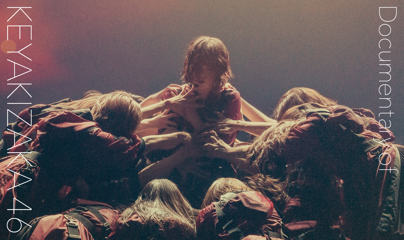 本物保証 欅坂46 欅共和国東京ドームドキュメンタリー映画nobody Sfault 邦楽 本 音楽 ゲーム 13 679 Cec Utem Cl